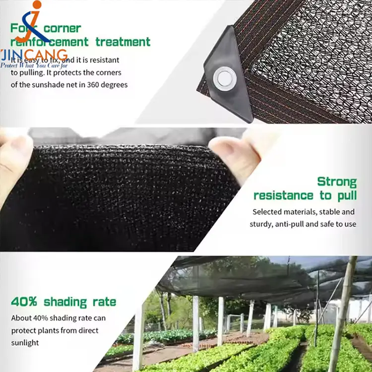 Blokuje Słońce i zmniejsza cień ciepła