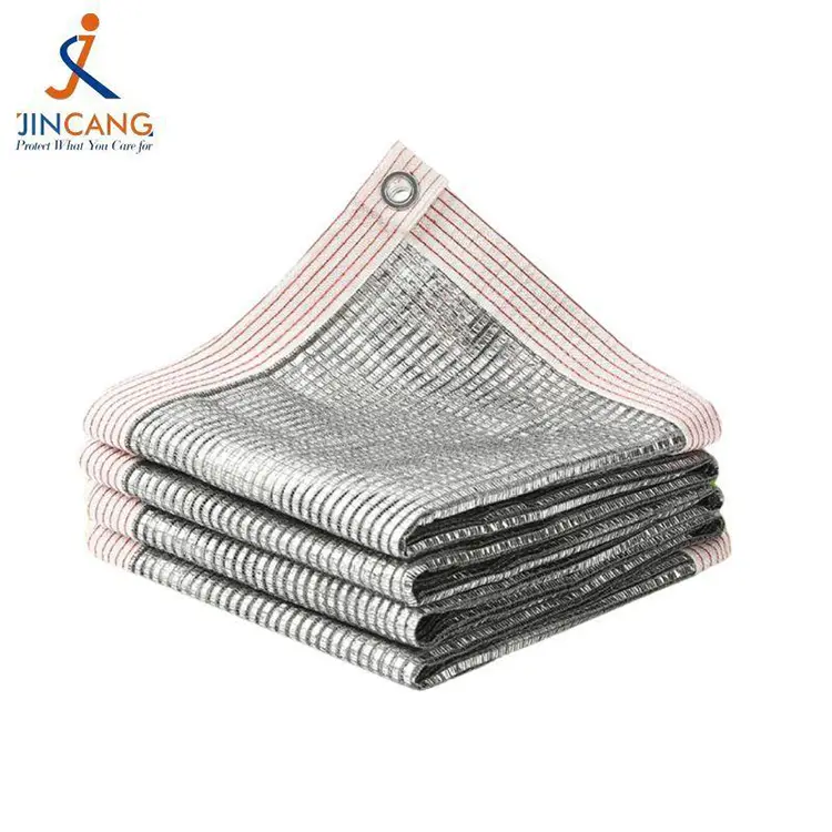 Słońce i pogoda w cieniu