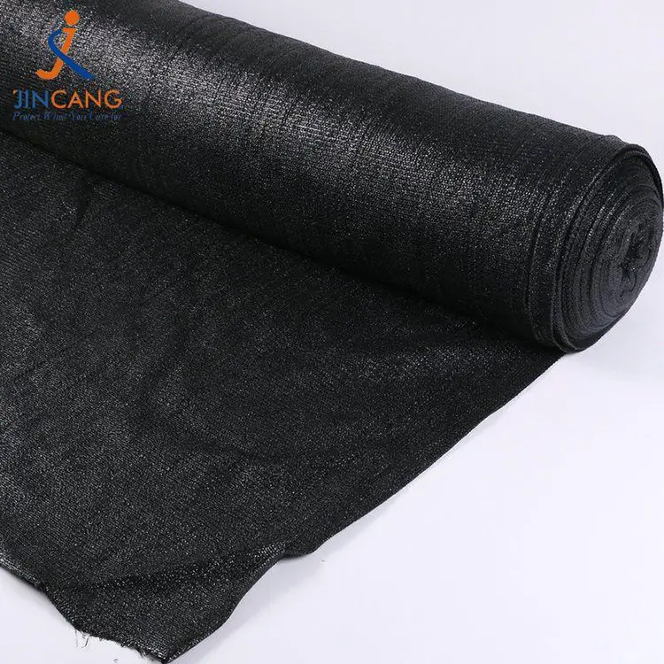 Słońce i pogoda w cieniu