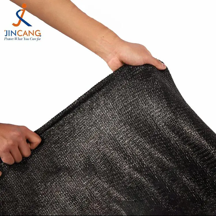 Słońce i pogoda w cieniu