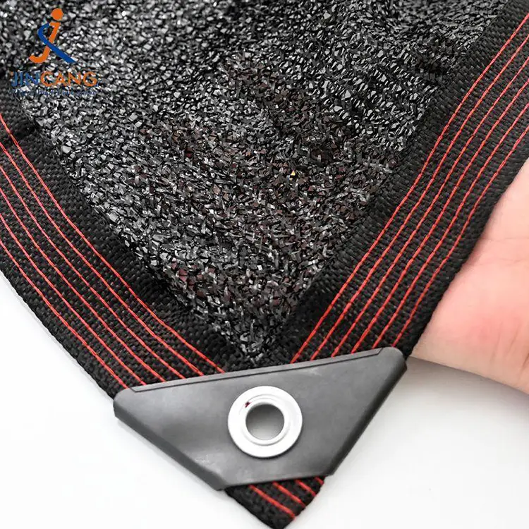 Słońce i pogoda w cieniu