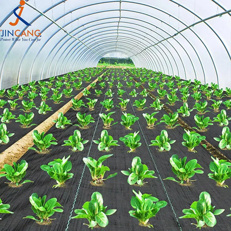 Mata tkaniny bariery z barierą geotełowią