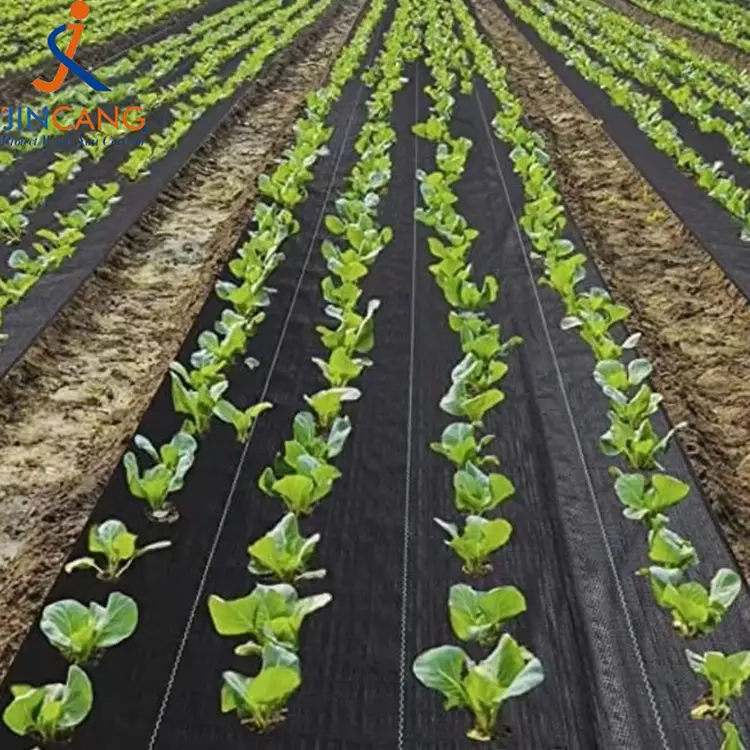 Trwałe maty chwastowe